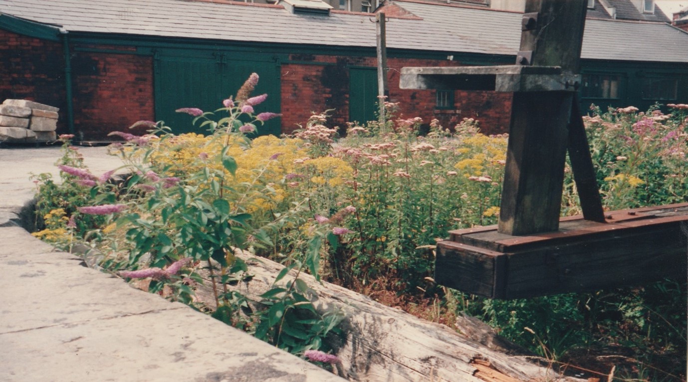 Slipway weeds pre 1990s restoration
